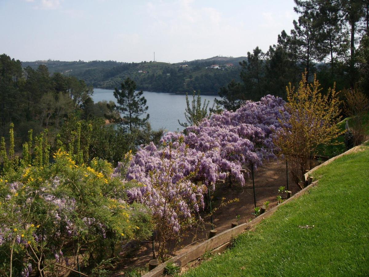 Quinta Do Troviscal Villa Castelo do Bode Bagian luar foto