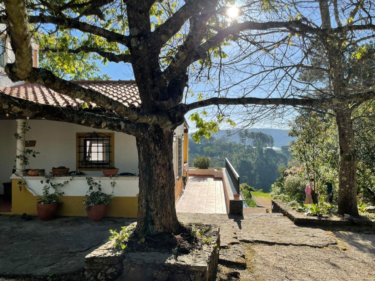 Quinta Do Troviscal Villa Castelo do Bode Bagian luar foto