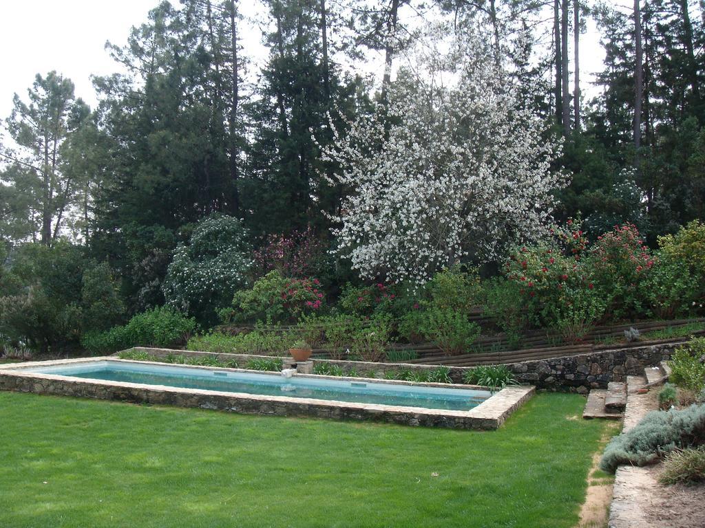 Quinta Do Troviscal Villa Castelo do Bode Bagian luar foto