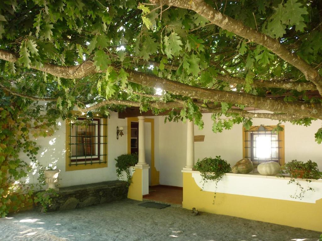 Quinta Do Troviscal Villa Castelo do Bode Bagian luar foto