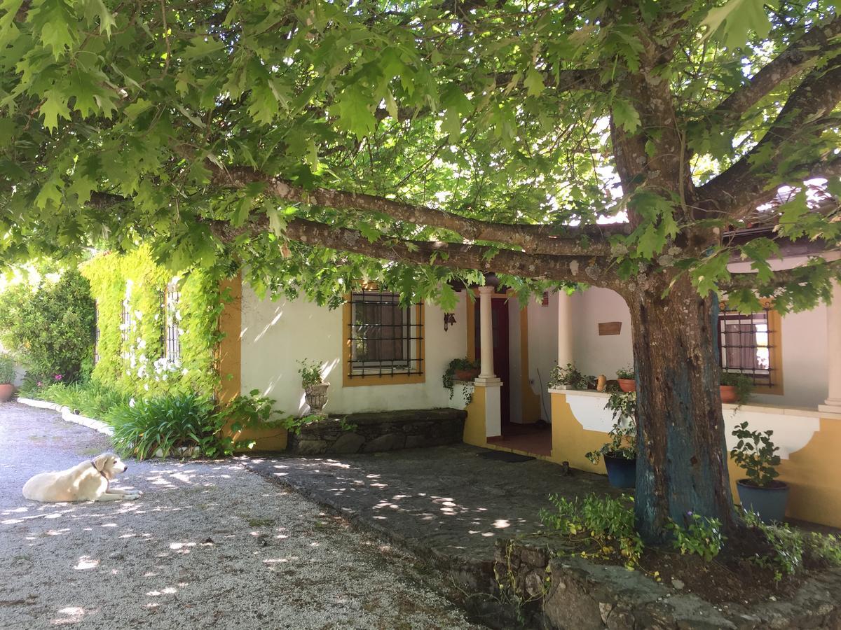 Quinta Do Troviscal Villa Castelo do Bode Bagian luar foto